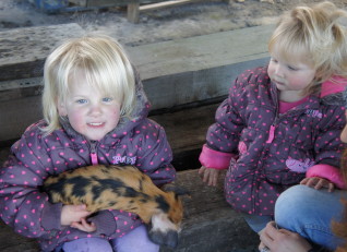 Toddler having a piglet cwtch